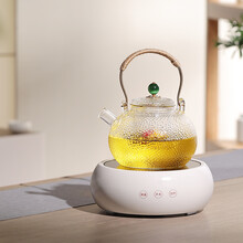 诺洁仕（LOCUS）电陶炉茶炉家用功夫热泡蒸煮烧水炉迷你不挑玻璃陶瓷铁壶光波电磁炉机器 简洁白色陶瓷茶炉+750ml玻璃壶D款