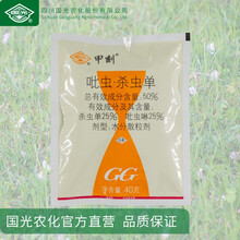 国光甲刻/吡虫啉·杀虫单/叶甲/象甲/地下害虫/潜叶害虫 40g