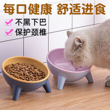 猫碗狗碗猫食盆保护颈椎防打翻斜口喝水小型犬猫咪盆饭碗宠物用品 洛克黄(宠物碗)