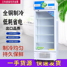 宏尔啤酒柜冷藏柜立式商用双门冰柜冰箱展示柜超市水果保鲜柜饮料柜 双门1200*570*2000风冷