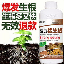 生根壮根剂生根粉生根液移栽扦插果树花卉绿萝强力发根剂 猛生根1000克/瓶