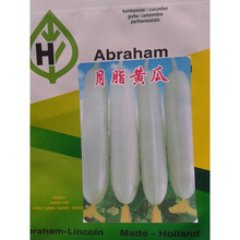 进口奶油白黄瓜种子青瓜脆瓜春秋高产抗病室内盆栽白玉四季播瓜种 月脂 1000粒装