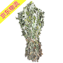 土也整棵艾草野生艾叶草端午晒干带杆茎洗泡脚艾草叶整株驱寒去湿气 重量