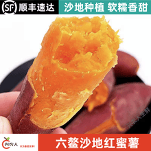 （顺丰）福建六鳌红薯地瓜 现挖现发 自家沙地种植  蜜薯 5斤