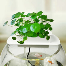 HIDOM希腾 鱼缸过滤器内置 增氧泵 潜水泵 水族箱过滤器 三合一造浪泵循环水泵 用品 圆形鱼缸过滤器(适用14-23cm缸口)