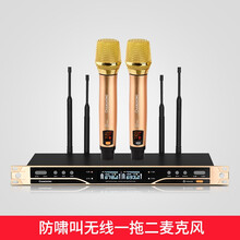 长虹（CHANGHONG）CH8无线话筒麦克风一拖二家庭影院功放音响家用专业会议音箱 专业防啸叫K歌专用麦克风一拖二