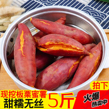 新鲜蜜薯斤农家自种红薯板栗薯地瓜糖心小山芋番薯 2500g 中果