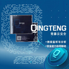 青藤万相 主机自适应安全套件企业版(300台/月)许可—适用于企业风险发现漏洞修复 互联网企业漏洞扫描神器