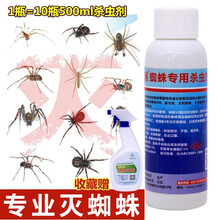 空消杀蜘蛛专用杀虫剂喷雾蜘蛛药杀虫剂杀蜘蛛药水防驱灭蜘蛛药粉蜘蛛喷剂家用商用神器 1瓶（收藏配喷壶）