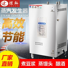 煜灿 商用蒸汽发生器蒸汽机豆腐煮浆机馒头蒸汽机酒店厨房专用环保节能燃气型 30火排蒸汽量80/时 带配件