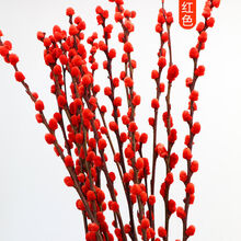 银柳真花年宵花卉彩色鲜枝红色水养植物干花室内客厅盆栽装饰花束 红色银柳(50支)
