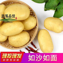现挖现发精品土豆新鲜土豆马铃薯洋芋黄心土豆时令蔬菜批发10/5斤 带箱9-10斤装 新鲜现挖