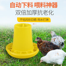 耐尔尼鸡用饲料桶鸡料桶料盘鸡鸭鹅自动下料桶鸡食槽喂鸡食槽 养鸡设备 3斤装鸡饲料桶