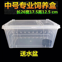 爬虫爬宠饲养盒箱子高透明亚克力缸柜一体树栖角蛙乌龟蜥蜴饲养盒 中号盒26*18*12加水盆