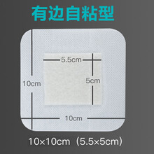 （ZOTOYL）藻酸盐湿性敷料防褥疮贴压疮贴老人无菌填充条毛条伤口吸渗液 (自粘型)10×10cm 一片装