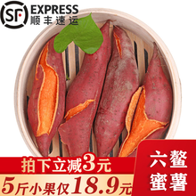 【顺丰】福建六鳌蜜薯 沙地红薯 地瓜 番薯 香甜软糯 新鲜 5斤小果家庭装（2件合发9斤/带箱）