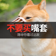 狗狗嘴套嘴罩 防捡食狗狗嘴套防咬叫口罩狗套嘴套狗嘴罩泰迪小狗防乱吃防捡食宠物用品 6号（嘴围35cm50斤左右宠物） 尼龙绑带狗嘴套