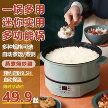 乘泰 智能预约定时多功能电饭煲煮粥锅家用电饭锅大容量2人3人煮饭锅3l大蒸饭锅迷你米饭锅小三人 抹茶绿-手动款22cm多用锅 1-3人用