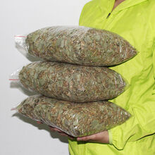 中药材金钱草广西四川正宗野生大叶金钱草干茶过路黄溶碎石草天然 无硫新采摘金钱草500g买3+1