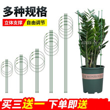 花支架爬藤架子植物攀爬架花架爬藤花盆支架蟹爪兰铁线莲支架盆栽固定架花卉花园园艺支架杆碳化绿萝支撑固定 调节款60cm高3杆3圈(22)