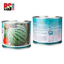 瑞蔬源 罐装一代杂交早佳8424西瓜种子50克 松脆型西瓜种子早佳沙瓤美都高产水果种子早熟薄皮易活种籽西瓜子