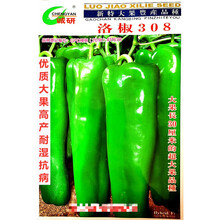洛椒308辣椒种子超大果高产耐湿抗病农家大棚秋冬播种精选种 洛椒308原装7克x2袋