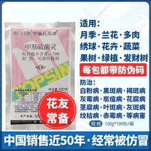 沃德伊诺 日曹甲基托布津剂进口甲托兰花多肉月季植物果树农药 700g