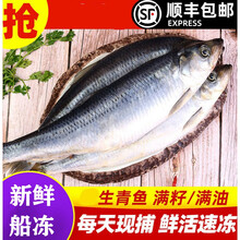 青鱼 商品搜索 京东