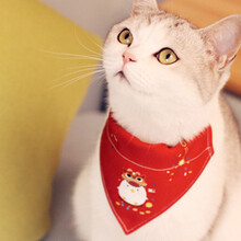 小壹 宠物狗狗猫咪印花围巾三角巾 口水巾领巾 大中小型犬金毛拉布拉多泰迪猫咪围脖围嘴围兜饰品 红色 M