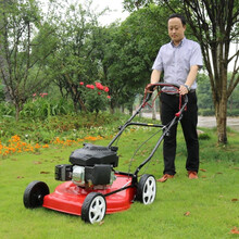 草坪机1820寸四冲程汽油手推式自走割草机除草机打草剪推草机  国产18寸手推