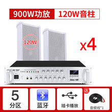 先科有源音柱防水室外无线蓝牙壁挂式音响套装公园学校幼儿户外挂墙门店铺商用音箱喇叭操场广播餐厅超市彩屏 900瓦+4条120瓦音柱
