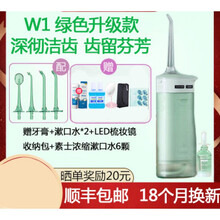素士电动冲牙器便携式水牙线家用智能洗牙器正畸牙结石口腔洁牙器 W1绿色升级版+便携包+牙膏+ 8瓶漱口水+化妆镜