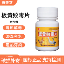 石佳（shijia)兽药鸡药片板黄败毒片宠物消炎药鸽子鸟拉稀抗病毒消炎药50片 10瓶