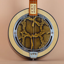 京炫（JINGXUAN)艾丽声 三弦秦琴乐器蟒蛇皮圆形秦琴广东民族弹拨乐器老人乐器 款全音