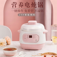 鑫万丰 迷你电炖锅隔水炖锅电炖盅煲汤锅炖汤锅宝宝煮粥锅燕窝炖盅婴儿辅食锅BB煲 粉色-1L小容量