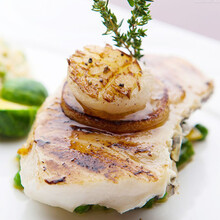 冰岛大西洋真鳕鱼原切进口宝宝辅食 560g 吃货研究所 2-5天发货