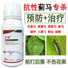 蓟马蚜虫药杀虫药高抗性蓟马专用杀虫剂杀虫杀卵100ml30ml 500ml