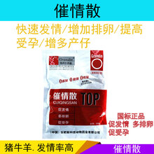 牛羊促孕散 兽药母猪促孕马血清催促发情孕散兽用猪 猪发情药 1套