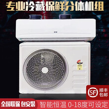 炑森 （送货上门）商用全套设备冷藏库小型制冷机冷库制冷分体机组蘑菇养殖鲜花水果蔬菜保鲜机组省电 冷库机订金