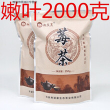 莓茶 张家界野生特级嫩芽尖新嫩叶霉茶藤茶 嫩叶四斤