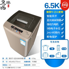 家庭家用洗衣机 洗衣机家小型全自动租房宿舍婴儿童迷你烘干洗脱一体 6.5KG智能风干 蓝光纳米除菌