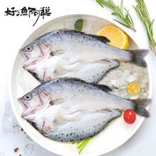 好渔阿聪 白蕉海鲈鱼 开背三去海鲈鱼鲈鱼（去鳞去鳃去内脏）新鲜活冻鱼类生鲜 海鲜水产七星斑净鱼 净重1000g/双条装