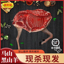 曼欧福黑山羊肉新鲜现杀生鲜带皮羊排羊腩羊腿广西农家散养马山黑山羊肉 黑山羊后腿5斤（整腿 ）