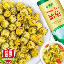 超市	【拍2罐=发3罐】菊花茶胎菊花草茶 桐乡杭白菊胎菊 胎菊王花蕾花茶可搭金银花50g罐