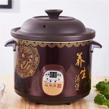 FEDAIR家用电炖锅电砂锅养生煲汤锅全自动炖汤锅宝宝熬煮粥锅电炖蛊陶瓷 电炖锅预约款【预约定时】 6L大容量【用量5-9人】+礼包