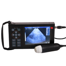 猪博士 母猪b超机 兽用b超机 猪博士猪用B超机母猪彩超机便携式牛羊用妊娠测孕仪 测背膘 16色 机械探头B超【适合新手】可视频回放