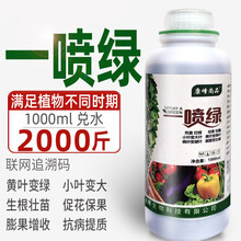 黄叶死苗一喷绿叶面肥微量元素铜铁锰锌钼硼水溶肥料花卉蔬菜果树 2瓶 200ml