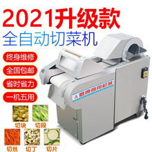 甄樽切菜机商用电动多功能食堂用土豆切片机切丝机切丁机切土豆条酒店幼儿园学校快餐店不锈钢蔬菜刨片机 660型带机头切菜机【切片切丝切丁切段】