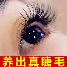 九叶草睫毛增长液睫毛膏眉毛生长液浓密纤长滋养男女自然生长 三瓶装（周期装）实现纤长浓密睫眉毛