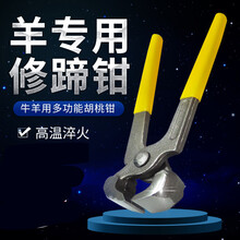 牛羊修蹄胡桃钳 修蹄剪刀拔钉钳子夹钉钳 羊蹄钳牛羊用修蹄工具 20厘米胡桃钳